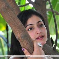 Haripriya New Photo Shoot - Pictures | Picture 115613